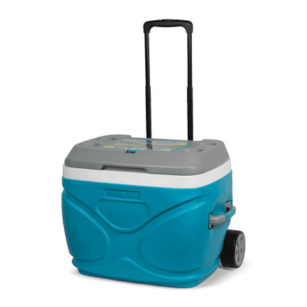 Pinnacle Prudence 66
