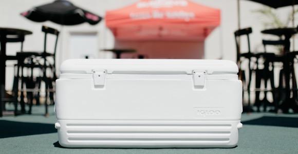Igloo Thermo-electrische Koelbox IE42L